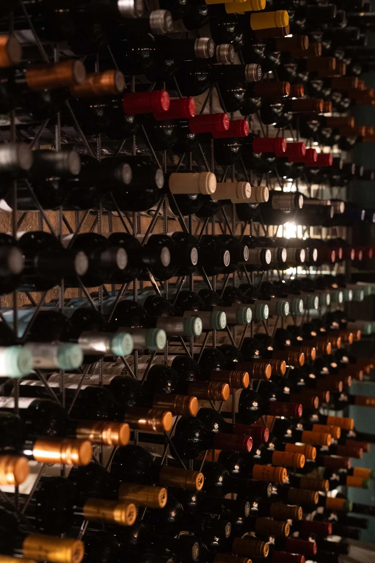 Vinos en Corbó Wine Bar, San Rafael Mendoza