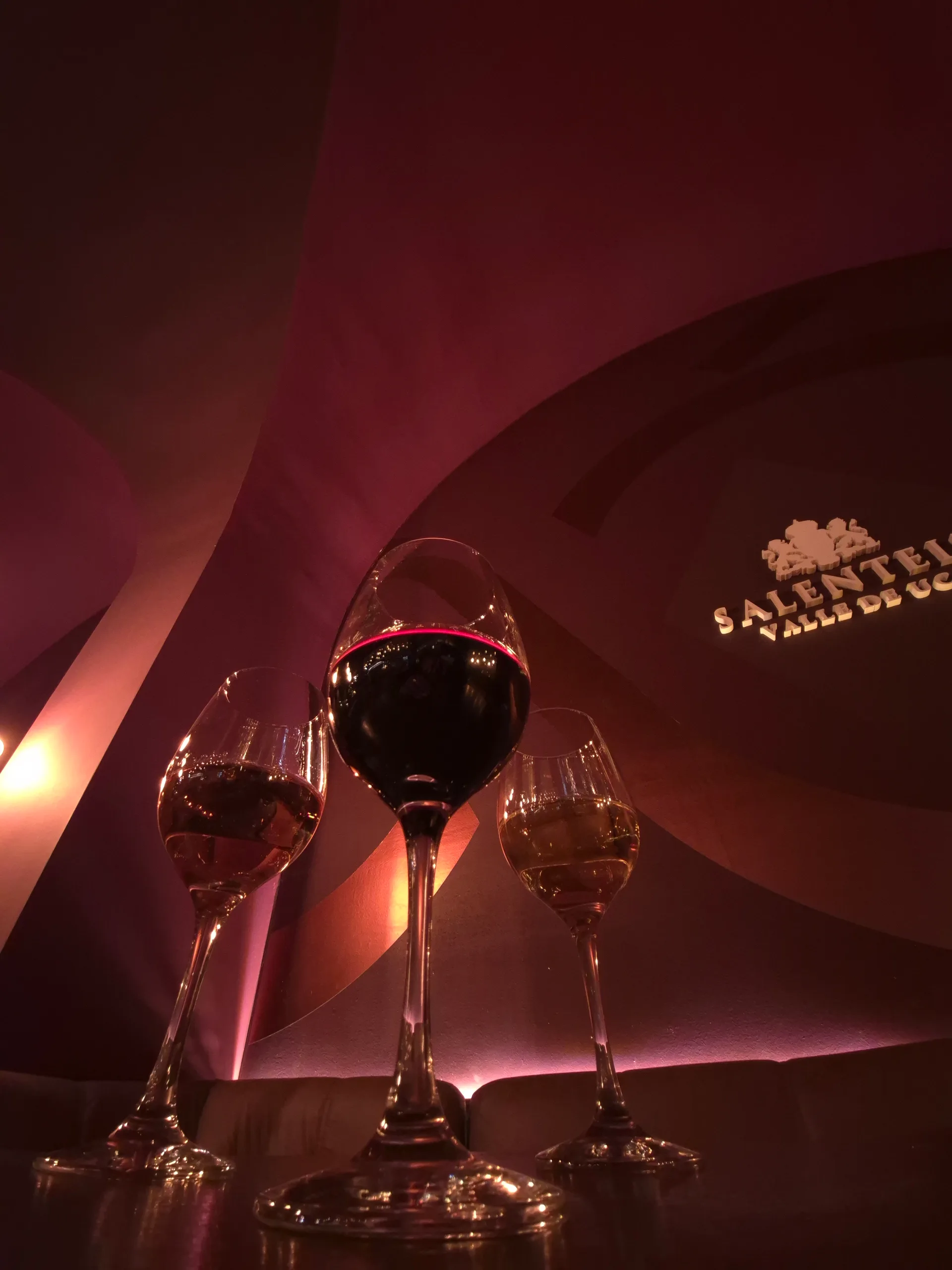 Carta de vinos mendocinos en Corbó Wine Bar - +30 varietales, San Rafael